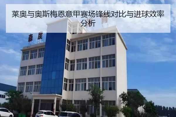 莱奥与奥斯梅恩意甲赛场锋线对比与进球效率分析